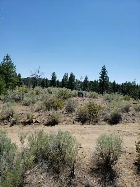 23 Thunderbird LN, Chiloquin, OR 97624