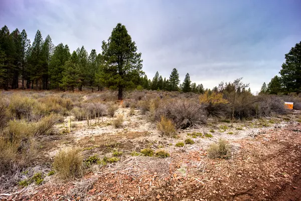 Chiloquin, OR 97624,Pine Ridge LOOP #lot 12