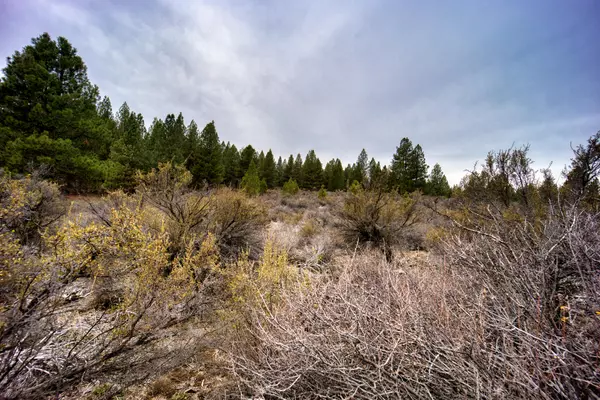 Chiloquin, OR 97624,Pine Ridge LOOP #lot 12