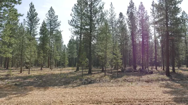 Lot 361 Mirror Rock LOOP, Bend, OR 97707