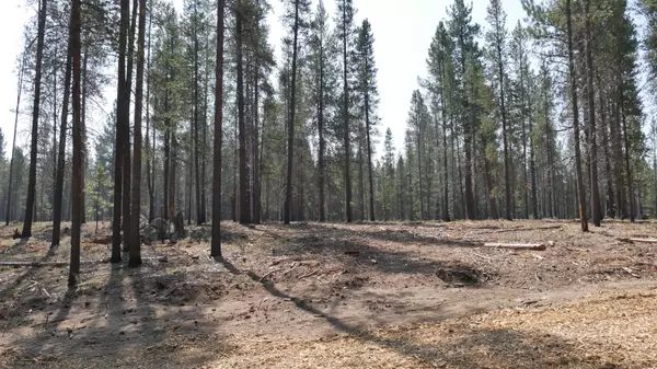 Lot 375 Mirror Rock LOOP, Bend, OR 97707