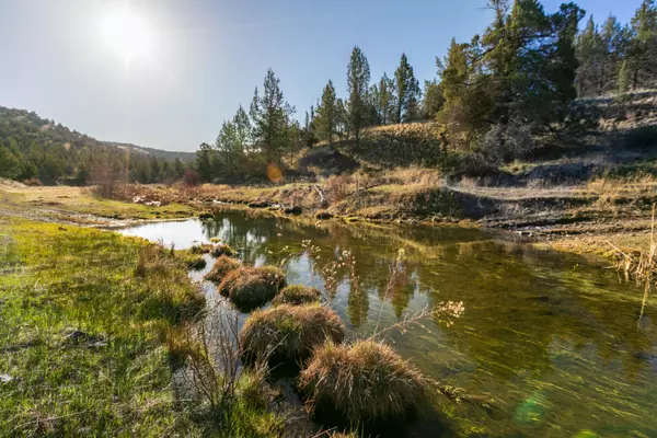 Ashwood, OR 97711,4095 Trout Creek RD