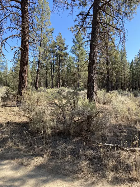 Lot 33 Tomahawk LN, Chiloquin, OR 97639