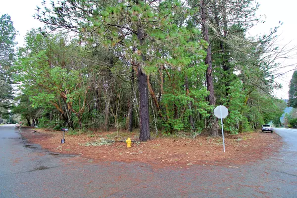 Cave Junction, OR 97523,204 Kerby AVE