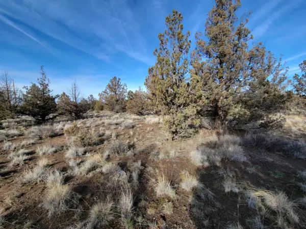 Prineville, OR 97754,TL 500 Cayuse RD