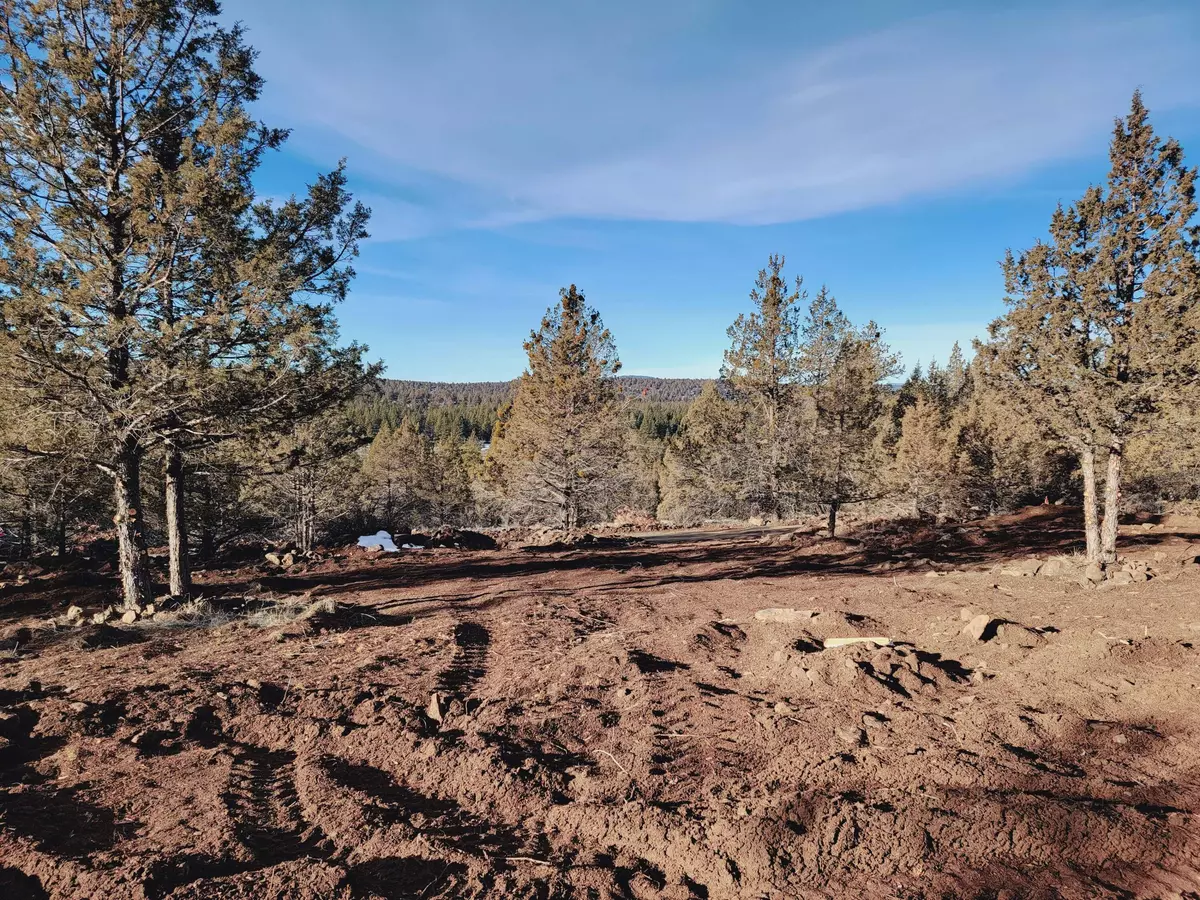 Bonanza, OR 97623,Lot 28 Canvasback RD