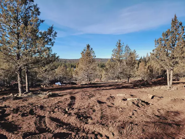 Lot 28 Canvasback RD, Bonanza, OR 97623