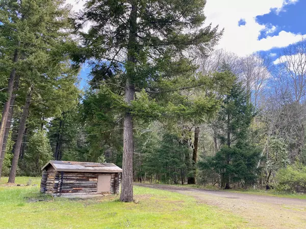 Selma, OR 97538,995 Indian Creek RD