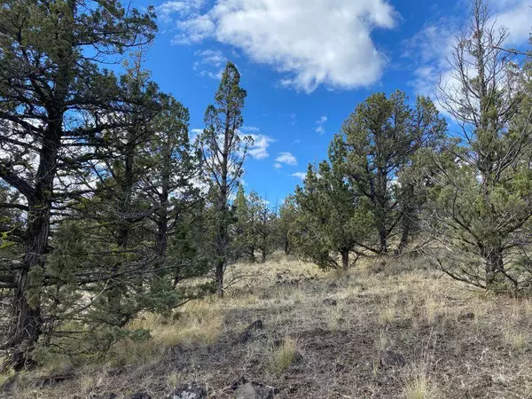 Prineville, OR 97754,TL0900 Walther LOOP