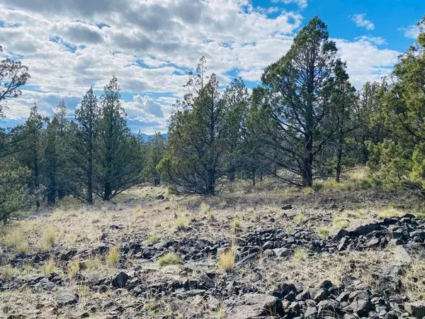 Prineville, OR 97754,TL0900 Walther LOOP