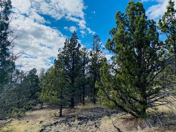 Prineville, OR 97754,TL0900 Walther LOOP