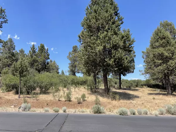 Klamath Falls, OR 97601,Turnstone #Lot 1064