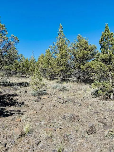 Prineville, OR 97754,TL1000 Walther LOOP