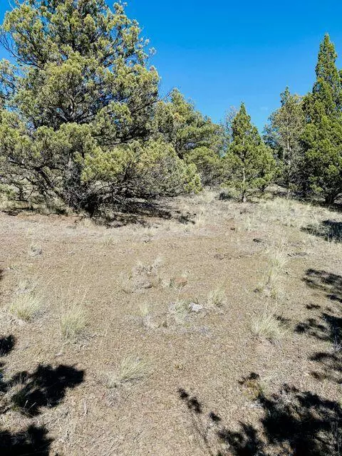 Prineville, OR 97754,TL1000 Walther LOOP