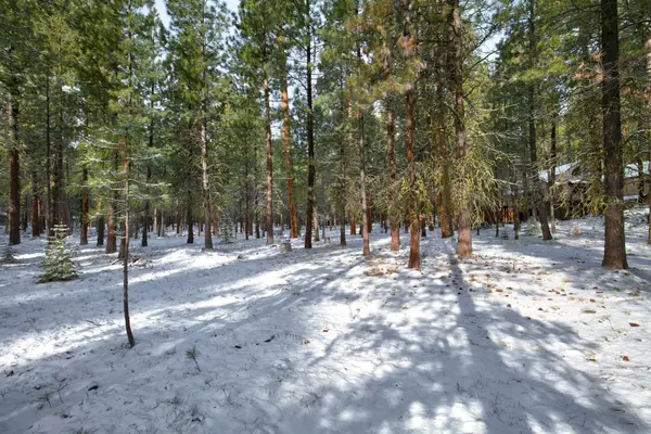 Black Butte Ranch, OR 97759,13789 Partridge Foot #RR 73