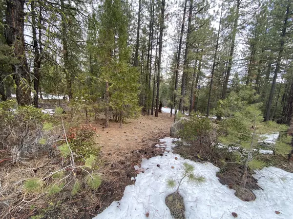 Bonanza, OR 97623,Hoot Owl Lot 20 DR