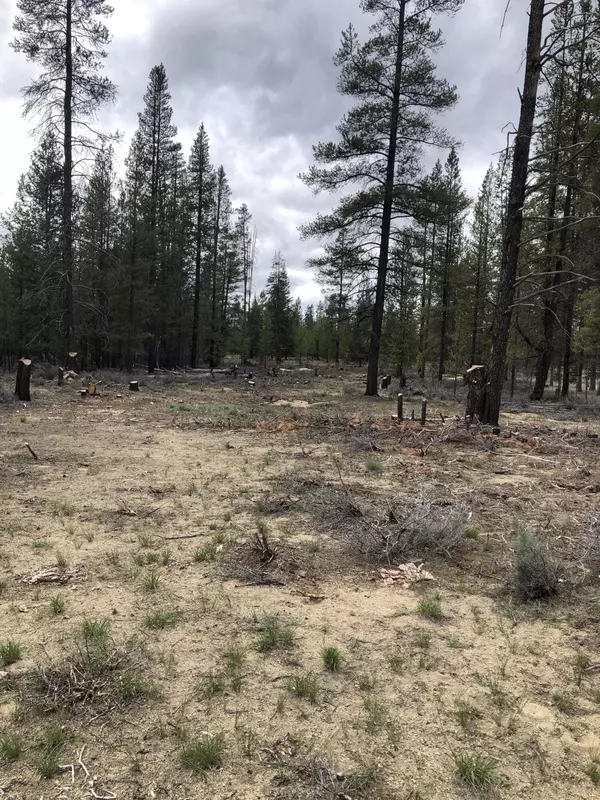 La Pine, OR 97739,Lot 62 Lanewood