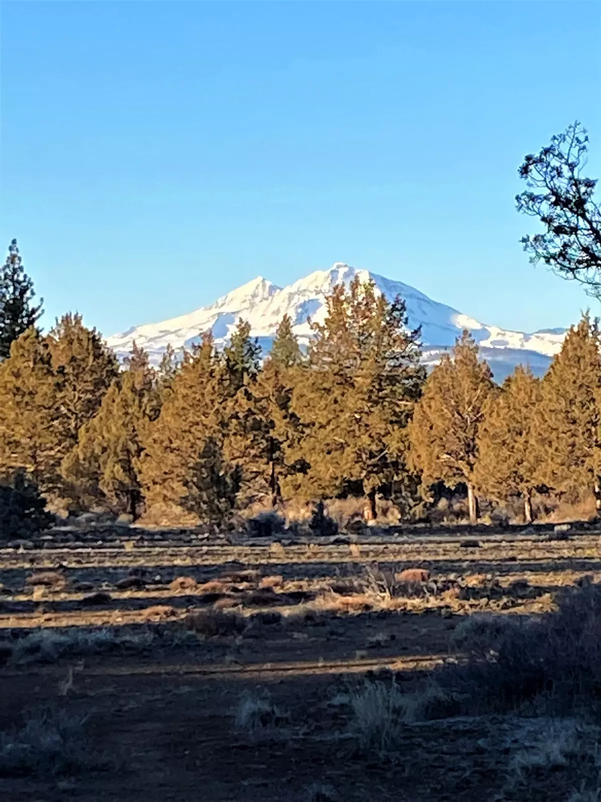 Sisters, OR 97759,17474 Big Buck RD