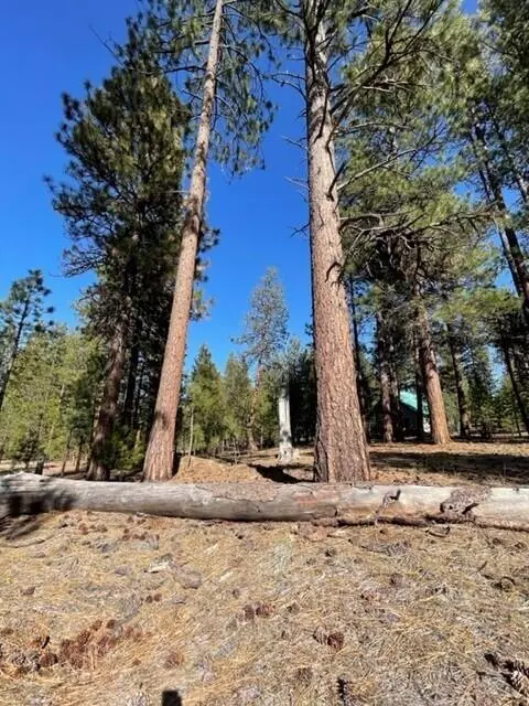 La Pine, OR 97739,53576 Brookie WAY