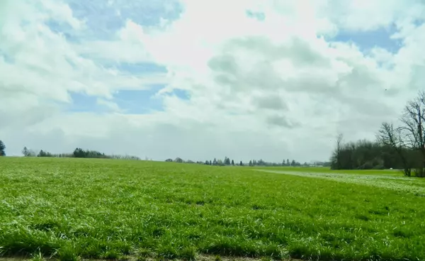 Albany, OR 97321,0 Kampf (TA 0046223) RD