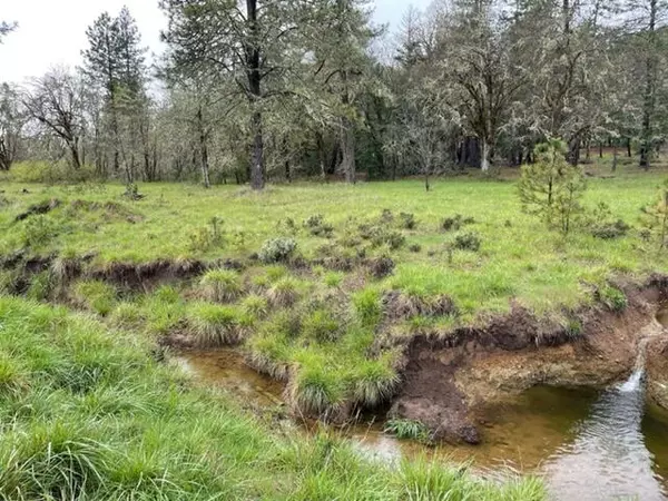 Cave Junction, OR 97523,199 Tycer