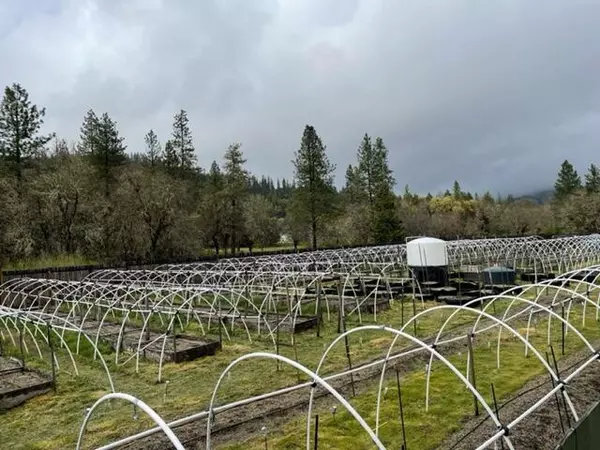 Cave Junction, OR 97523,199 Tycer