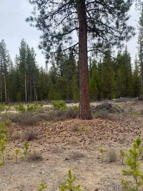 La Pine, OR 97739,Lot 8 Micah LN