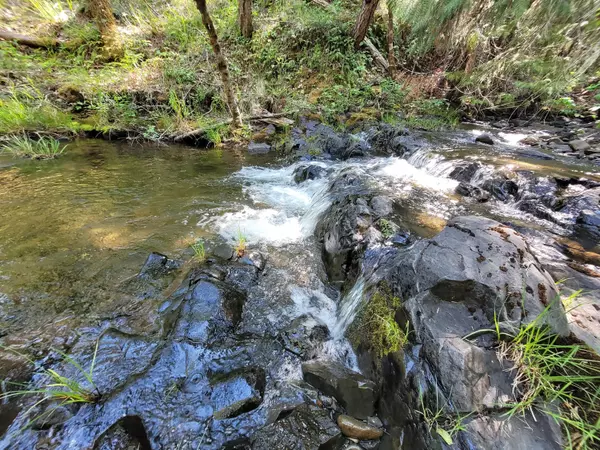 Cave Junction, OR 97523,6277 Side RD