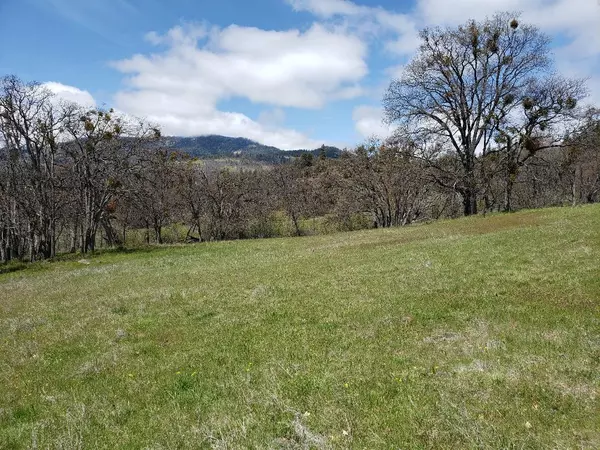 Ashland, OR 97520,0 Cove RD #Parcel 6