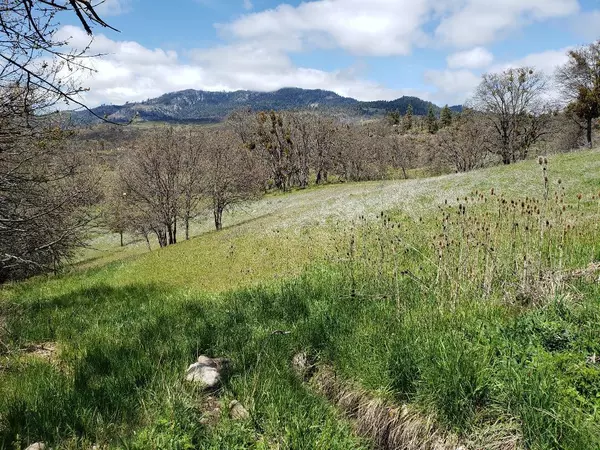 Ashland, OR 97520,0 Cove RD #Parcel 6