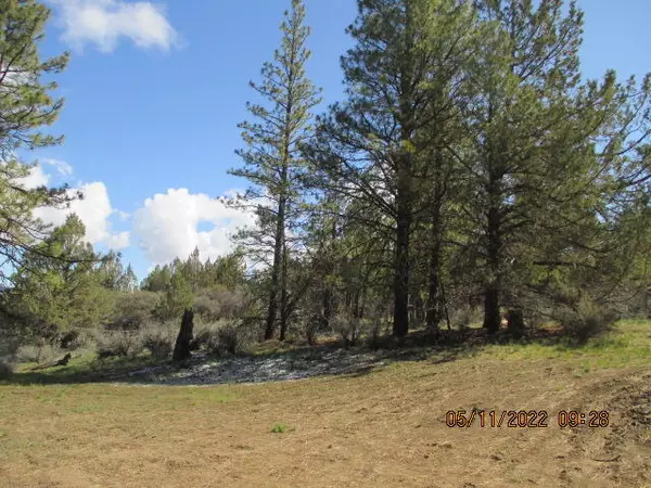 Beatty, OR 97621,Lot 2 Partin DR