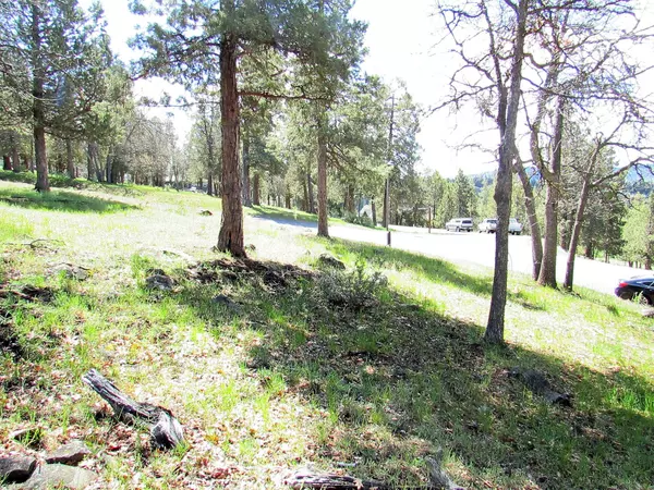 Klamath Falls, OR 97601,Lot 259 Coopers Hawk RD