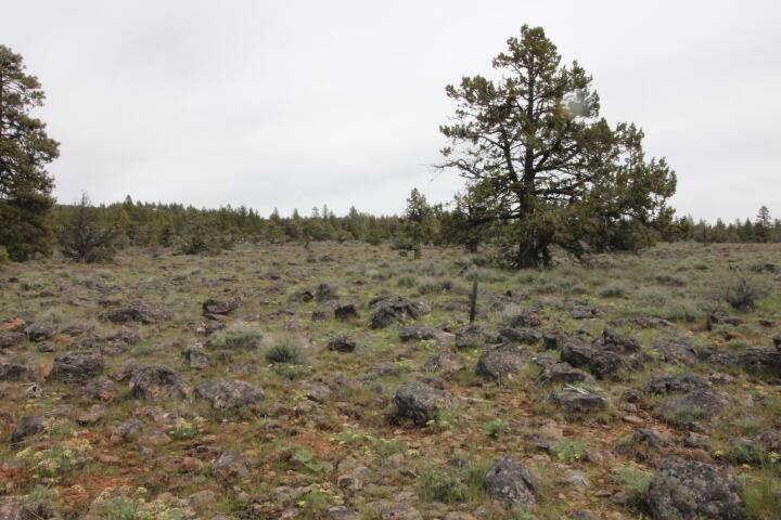 Bluejay DR #Lot 11, Bonanza, OR 97623