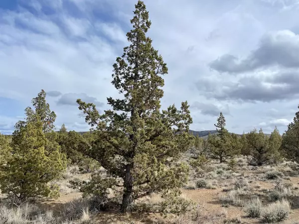 Prineville, OR 97754,Lot175 Maple LN