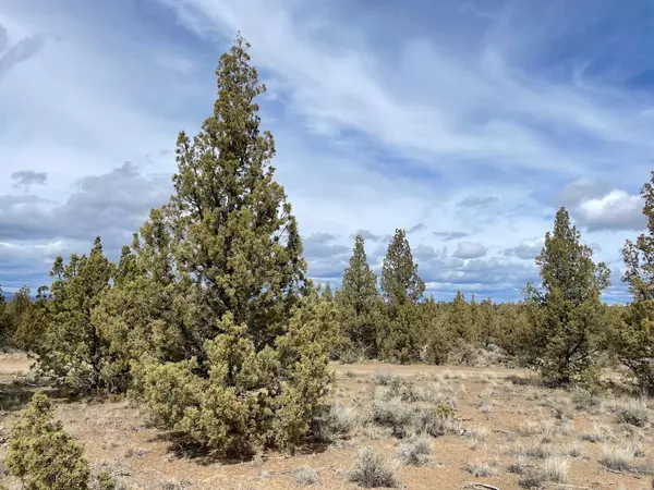 Prineville, OR 97754,Lot175 Maple LN