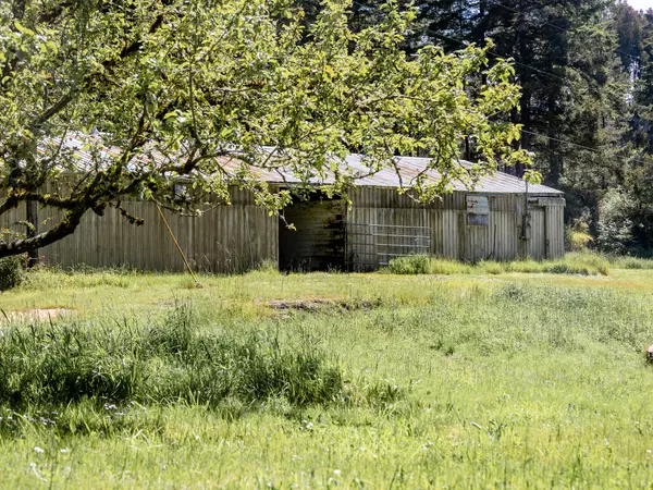 North Bend, OR 97459,93698 Raymond LN