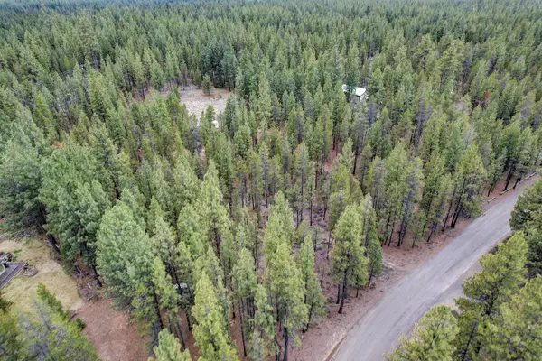 La Pine, OR 97739,51873 Pine Loop DR