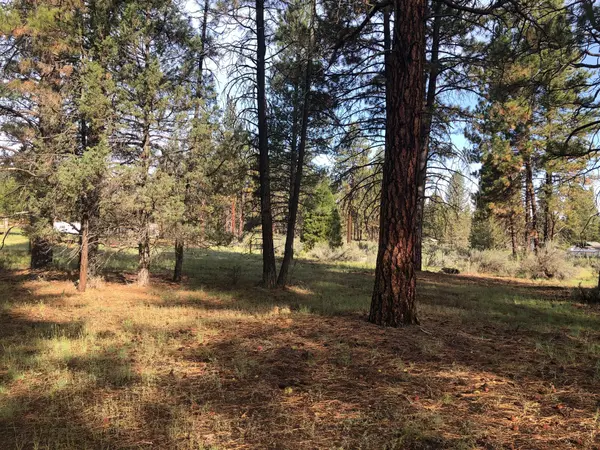 Bonanza, OR 97623,Lot 17 Bly Mtn Cutoff RD