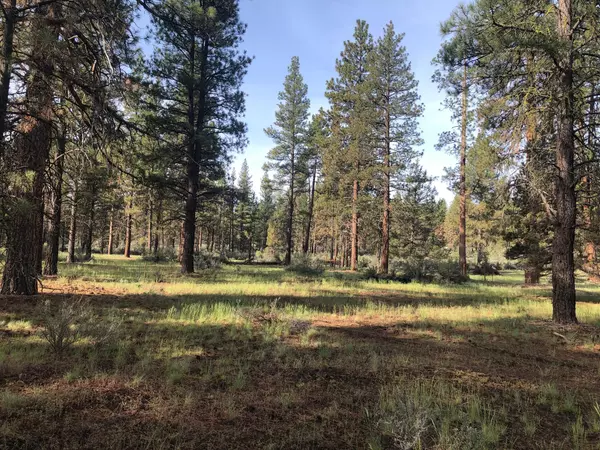 Bonanza, OR 97623,Lot 17 Bly Mtn Cutoff RD