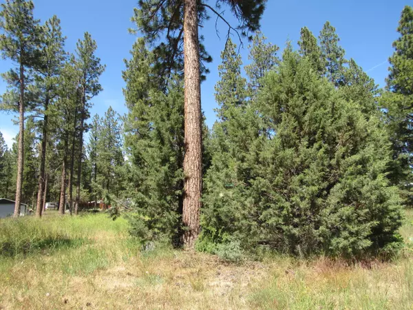 Chiloquin, OR 97624,bl3 lot 13 Witam Bluff #247398