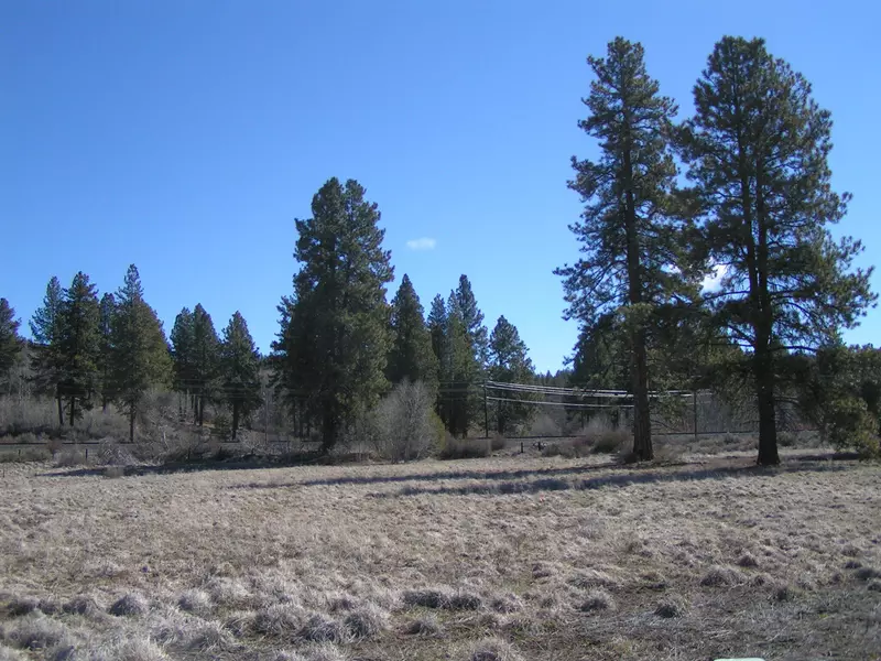 Cattle Drive, Chiloquin, OR 97624