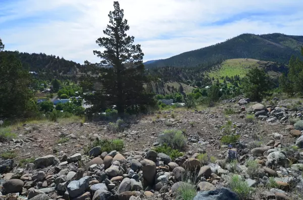 Canyon City, OR 97820,216 Elkview DR