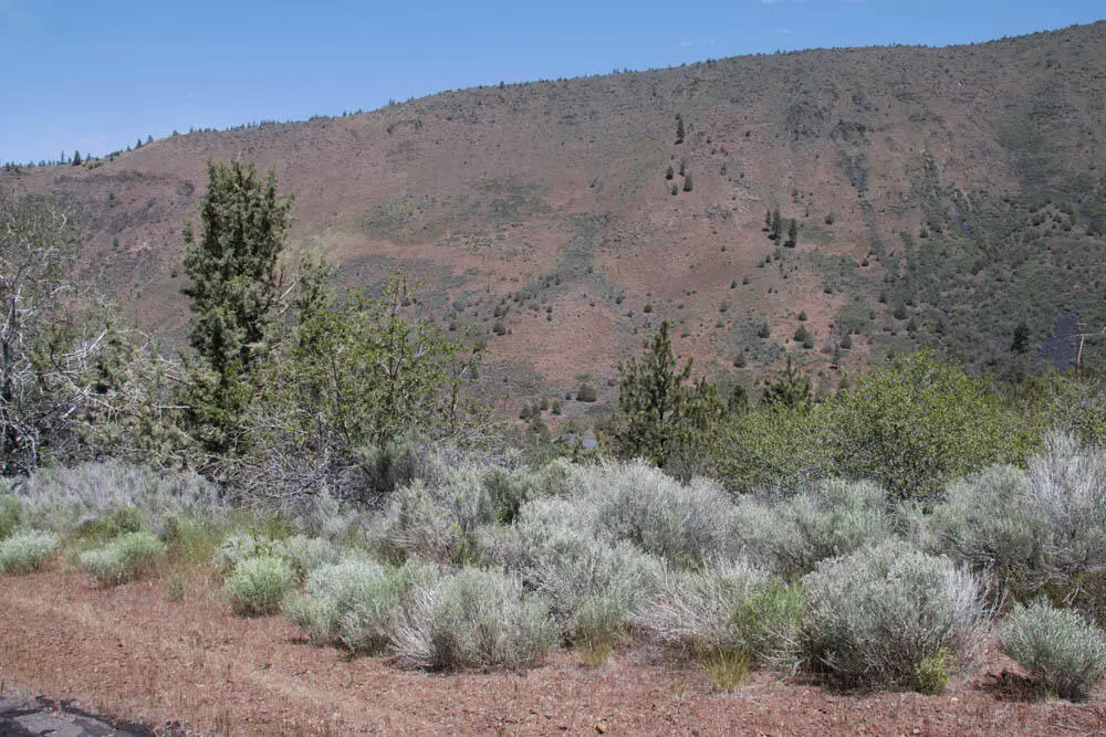 Klamath Falls, OR 97601,Lot 38 Peregrine Heights