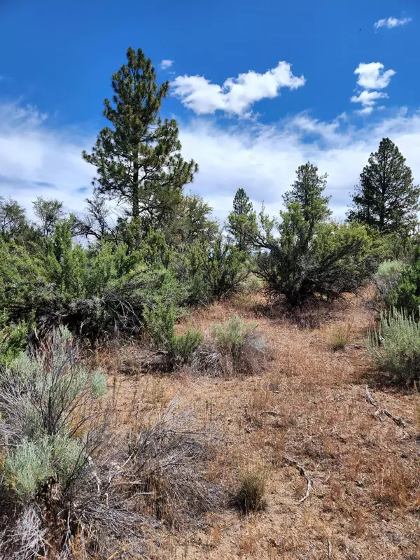 Beatty, OR 97621,Lot 10 Quarry CIR