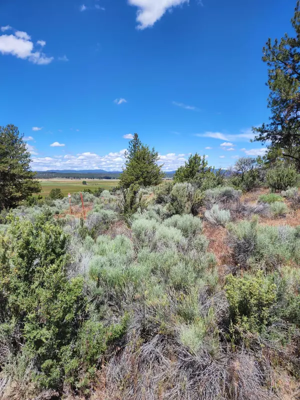 Beatty, OR 97621,Lot 10 Quarry CIR