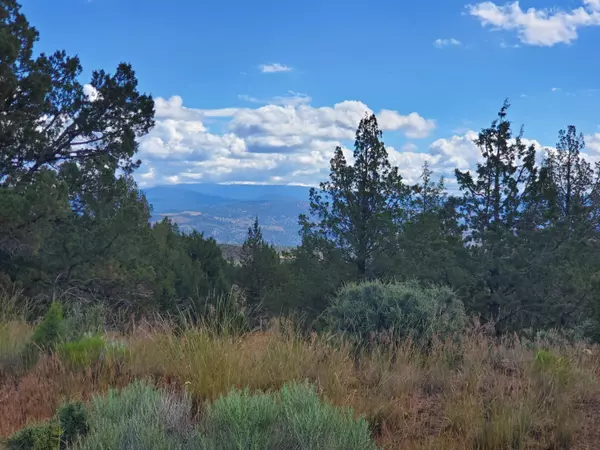 Prineville, OR 97754,Dead End Street TL5674