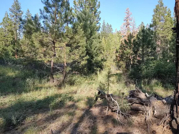 Yak LN, Bonanza, OR 97623