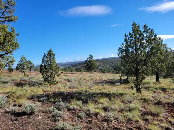 15121 Winchester LOOP, Prineville, OR 97754