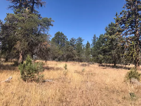 Bonanza, OR 97623,Lot 17 Prairie Dog LN