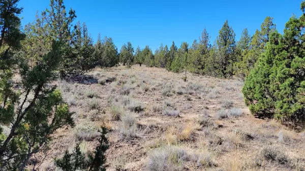 Prineville, OR 97754,13738 Apache RD